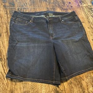 Lane Bryant Bermuda shorts